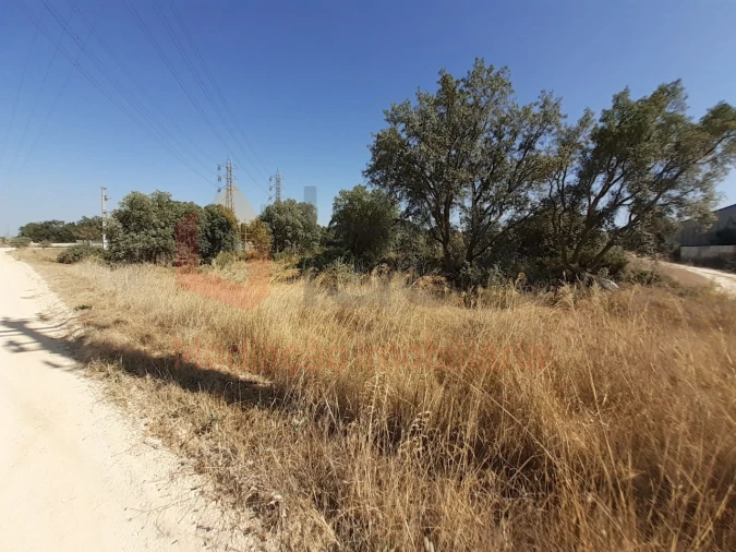 Terreno Agricola ou Rústico para Venda em Pinhal Novo Foto 9