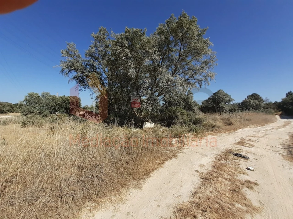 Terreno Agricola ou Rústico para Venda em Pinhal Novo Foto 11
