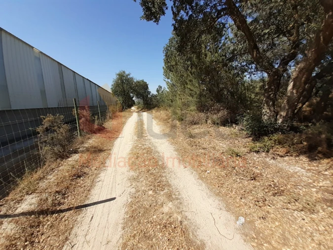 Terreno Agricola ou Rústico para Venda em Pinhal Novo Foto 3