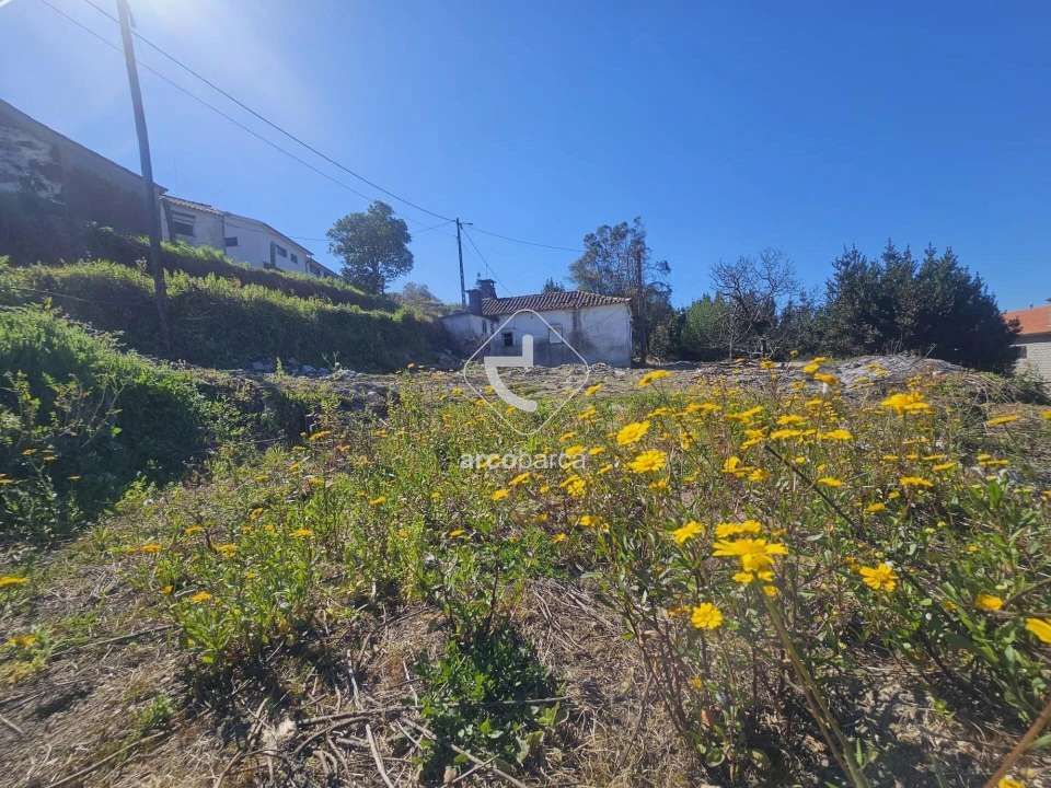Terreno para Venda em Ribeira Foto 19