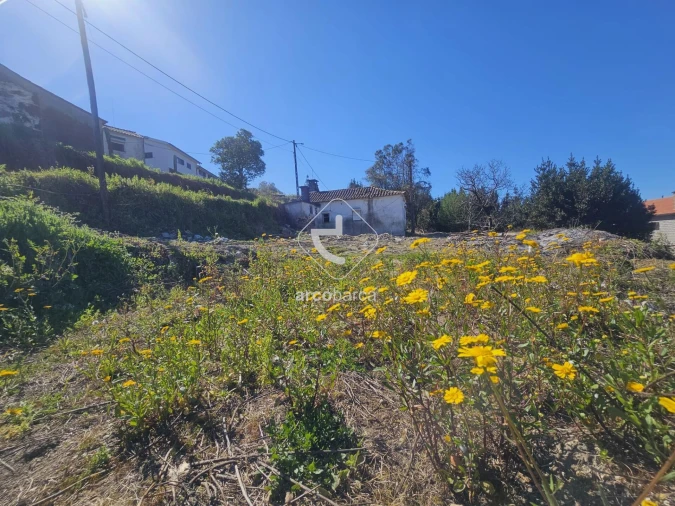 Terreno para Venda em Ribeira Foto 19