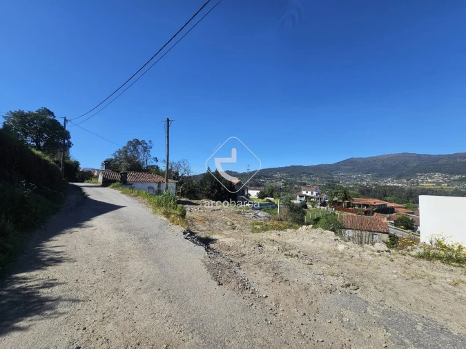 Terreno para Venda em Ribeira Foto 7