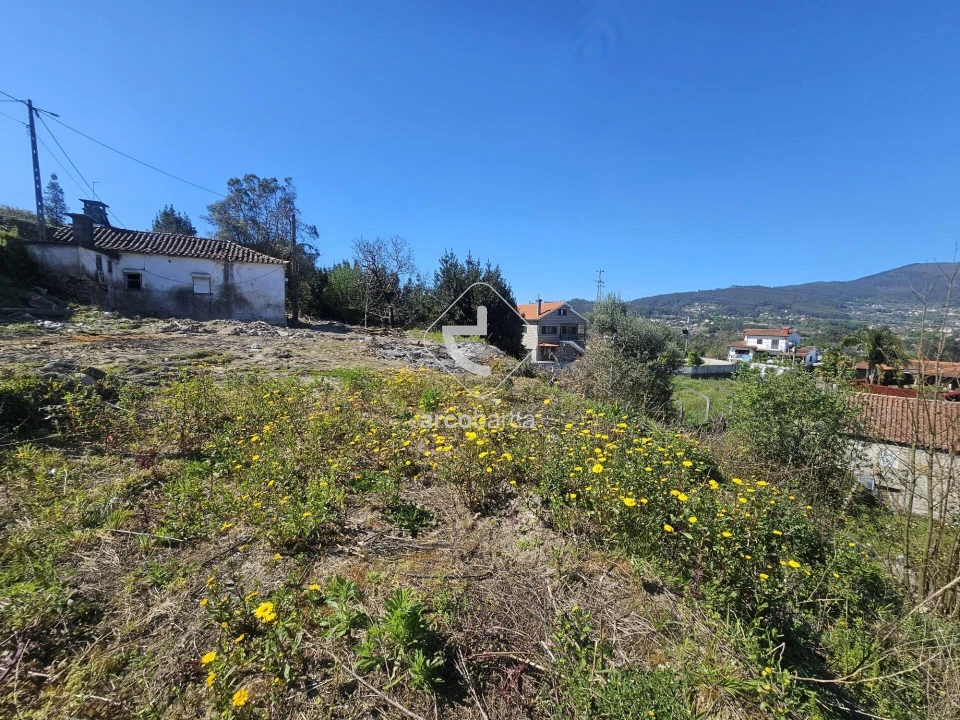 Terreno para Venda em Ribeira Foto 10