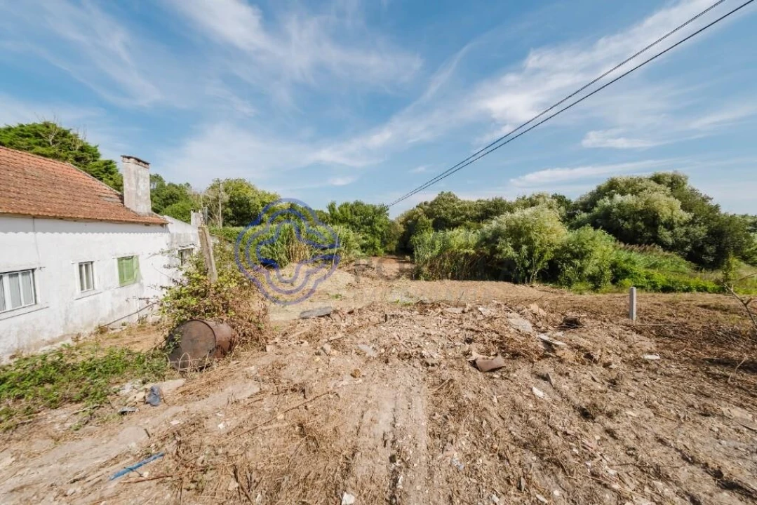 Armazém para Venda em Vidais Foto 8