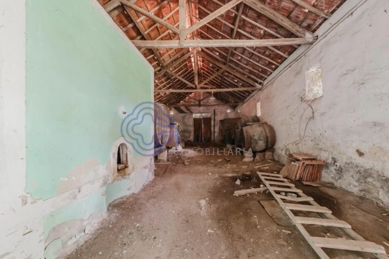 Armazém para Venda em Vidais Foto 13