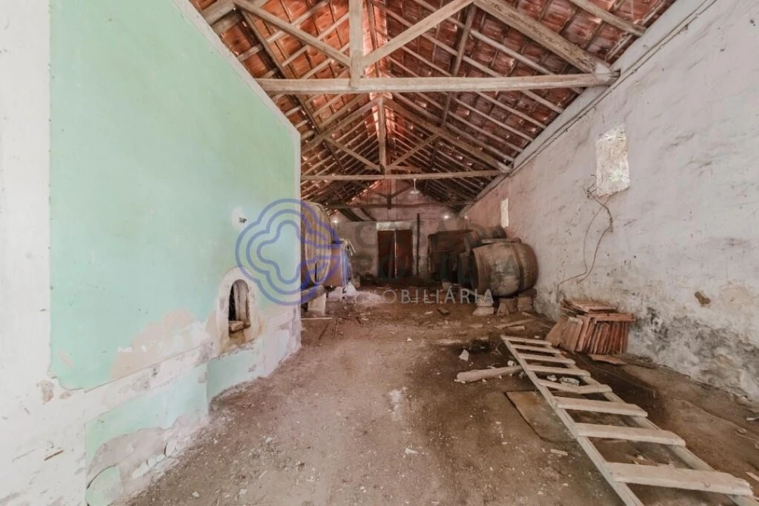 Armazém para Venda em Vidais Foto 13