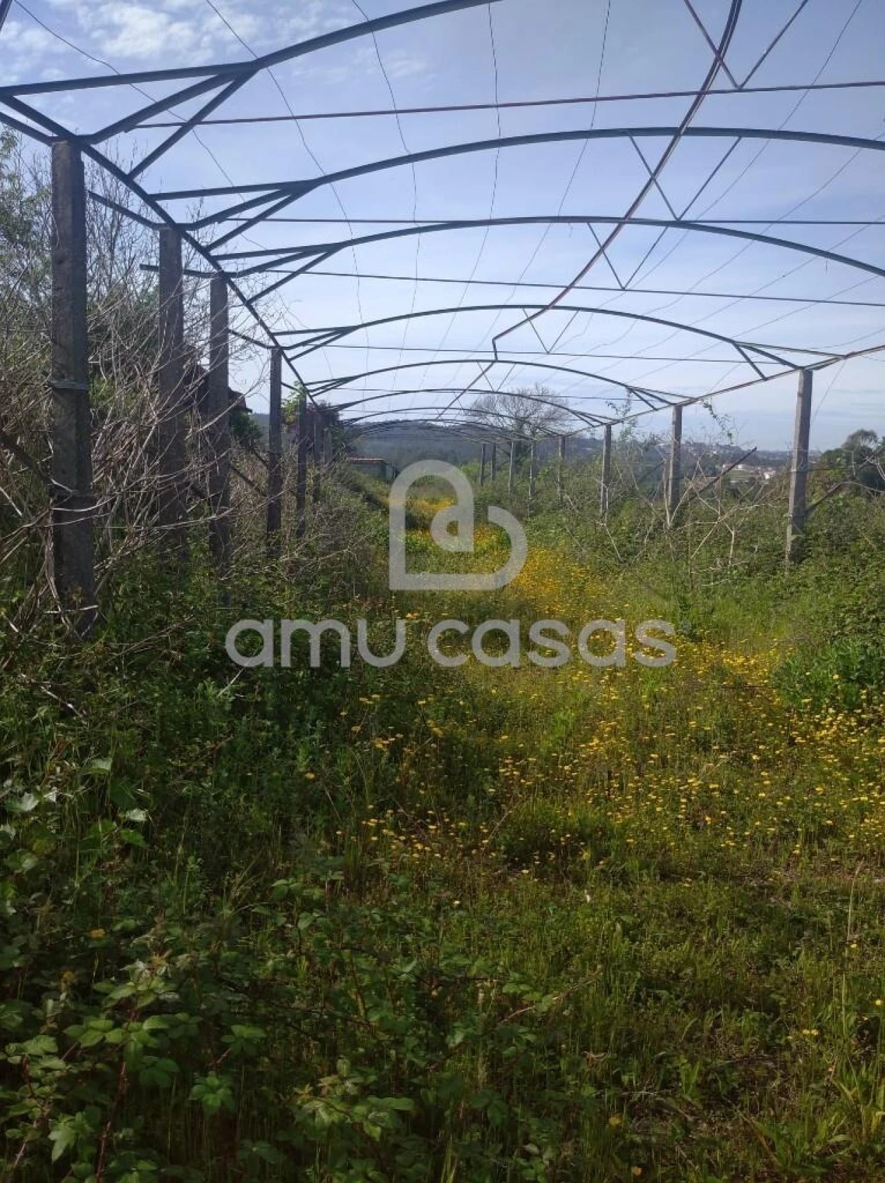 Terreno para Venda em O. Azeméis, Riba-Ul, Ul, Macinhata Seixa, Madail Foto 3