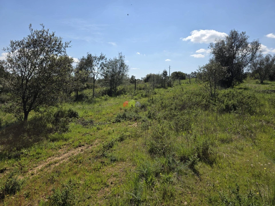 Terreno para Venda em Nossa Senhora da Vila, Nossa Senhora do Bispo e Silveiras Foto 6