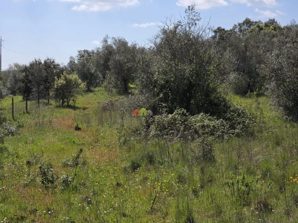 Terreno para Venda em Nossa Senhora da Vila, Nossa Senhora do Bispo e Silveiras Foto 16