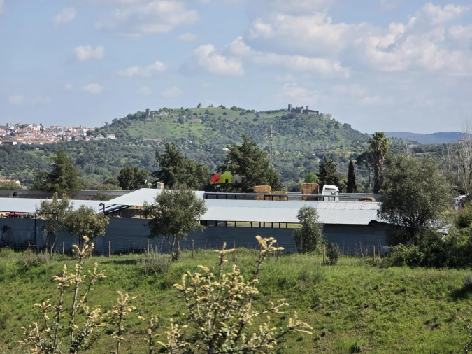 Terreno para Venda em Nossa Senhora da Vila, Nossa Senhora do Bispo e Silveiras Foto 10
