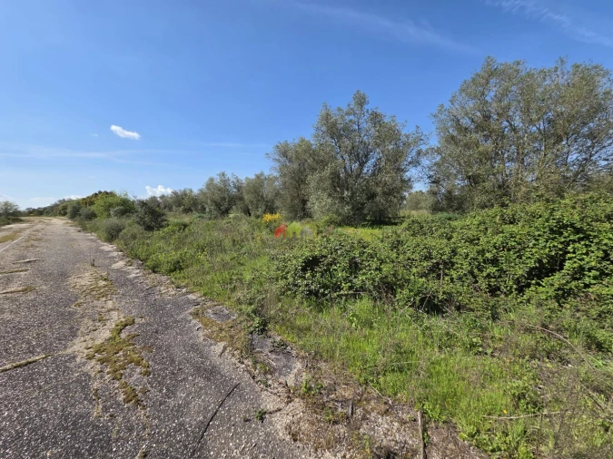 Terreno para Venda em Nossa Senhora da Vila, Nossa Senhora do Bispo e Silveiras Foto 3