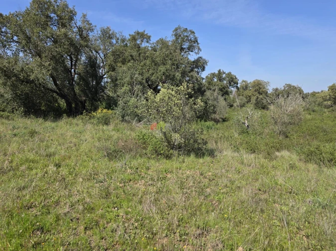Terreno para Venda em Nossa Senhora da Vila, Nossa Senhora do Bispo e Silveiras Foto 17
