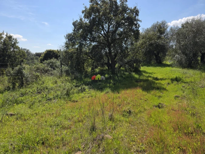 Terreno para Venda em Nossa Senhora da Vila, Nossa Senhora do Bispo e Silveiras Foto 5