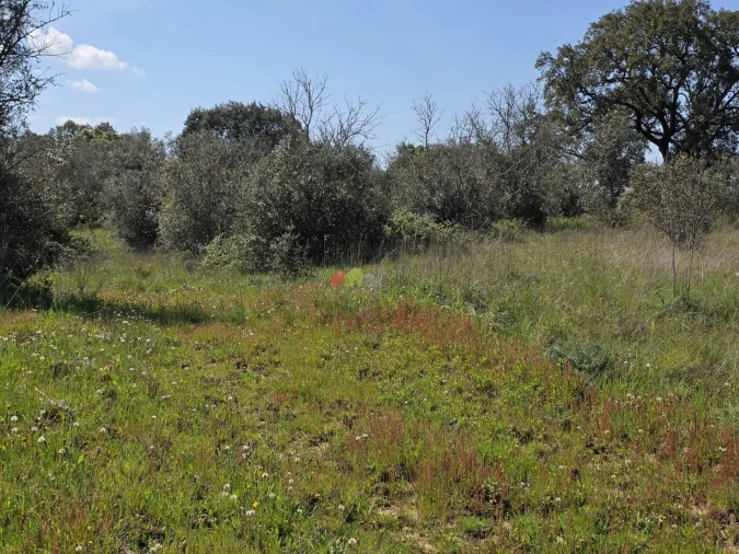 Terreno para Venda em Nossa Senhora da Vila, Nossa Senhora do Bispo e Silveiras Foto 13