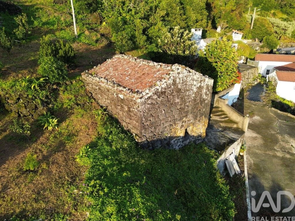 Terreno para Venda em Ribeiras Foto 9
