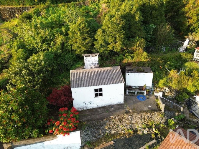 Terreno para Venda em Ribeiras Foto 12