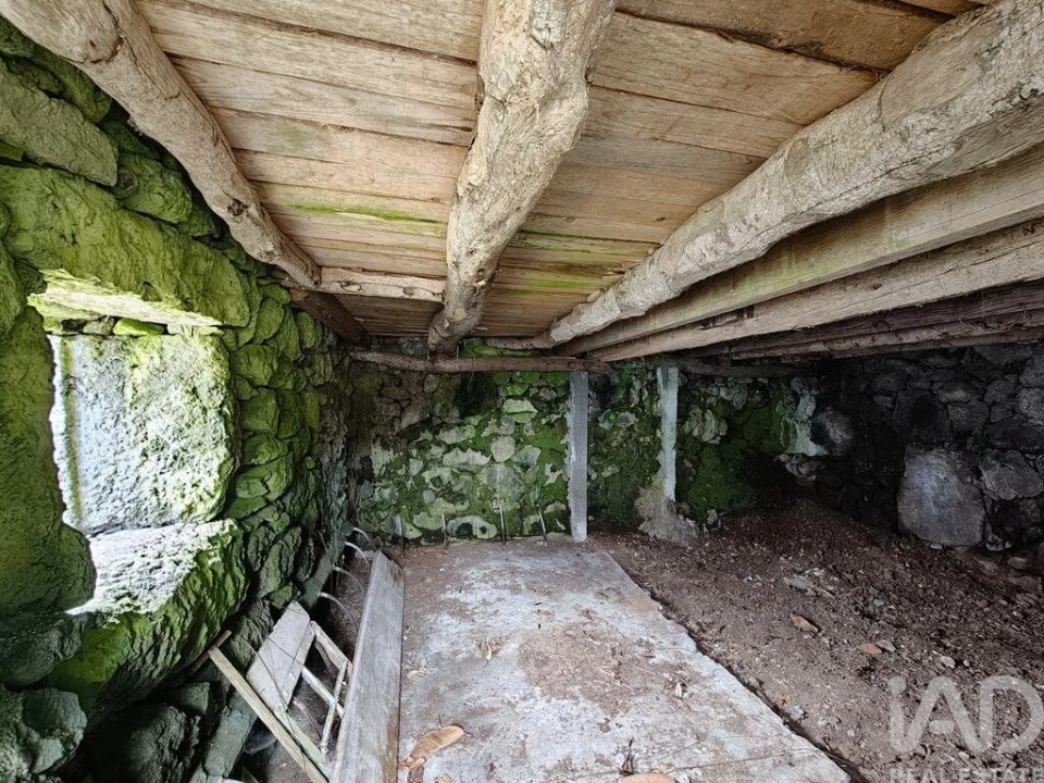 Terreno para Venda em Ribeiras Foto 7