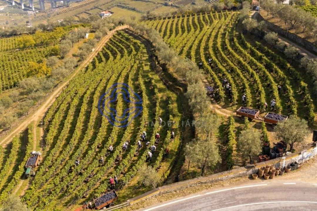Terreno para Venda em Sande Foto 2