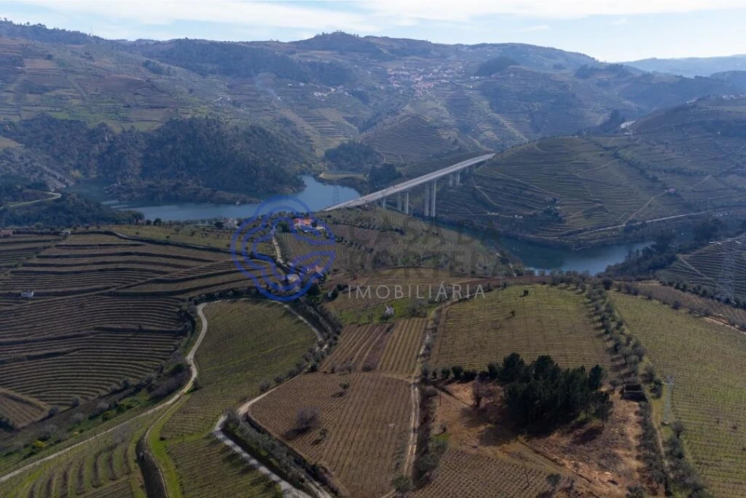 Terreno para Venda em Sande Foto 23