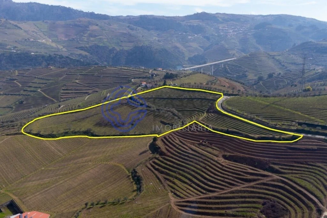 Terreno para Venda em Sande Foto 14