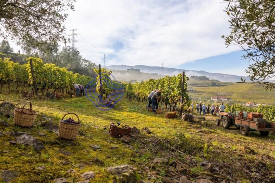 Terreno para Venda em Sande Foto 4