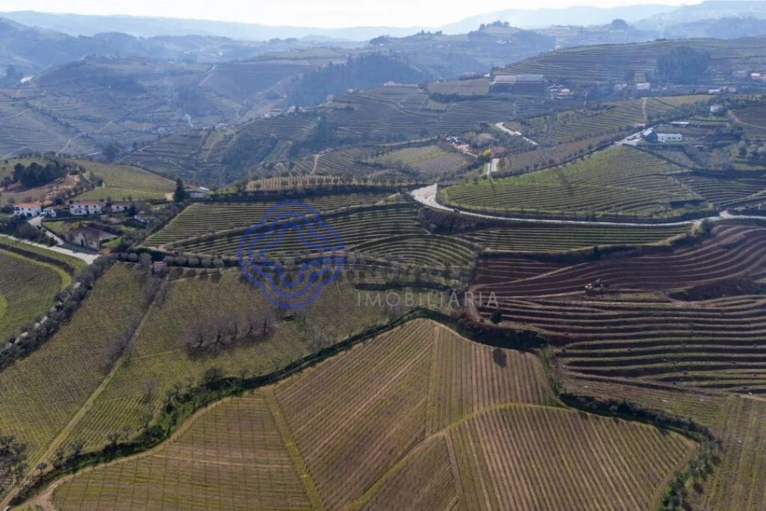 Terreno para Venda em Sande Foto 15