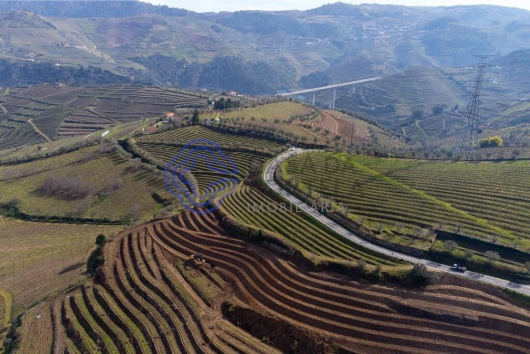 Terreno para Venda em Sande Foto 17