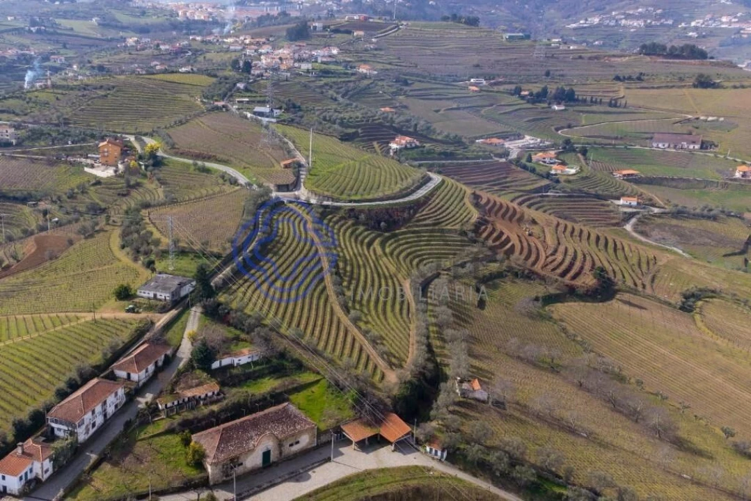 Terreno para Venda em Sande Foto 19
