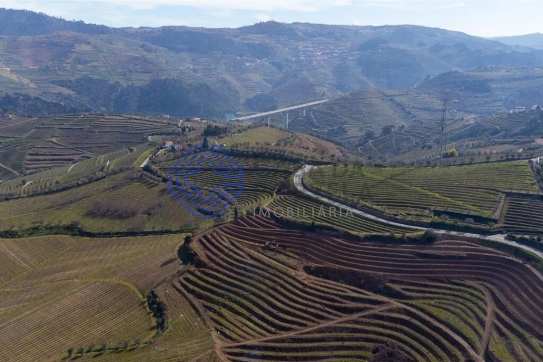 Terreno para Venda em Sande Foto 20