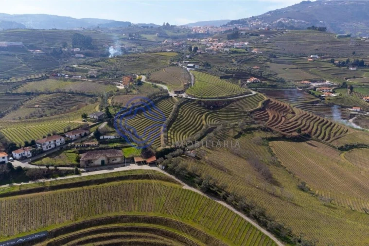 Terreno para Venda em Sande Foto 22