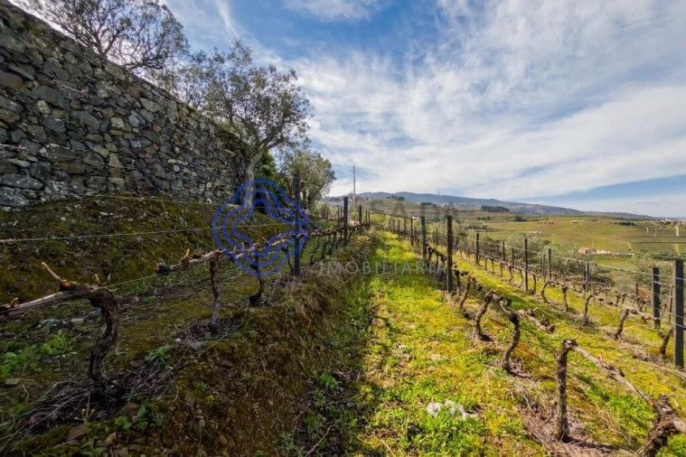 Terreno para Venda em Sande Foto 7