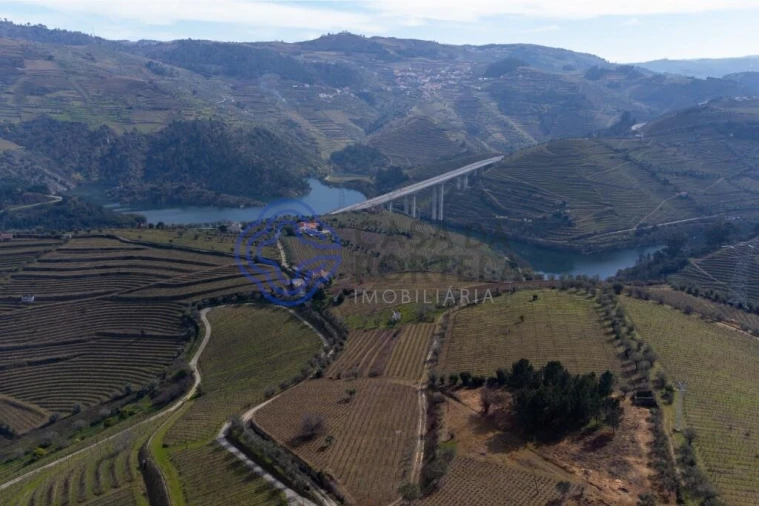 Terreno para Venda em Sande Foto 23