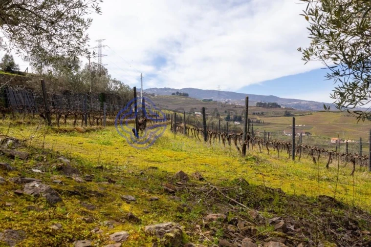 Terreno para Venda em Sande Foto 3