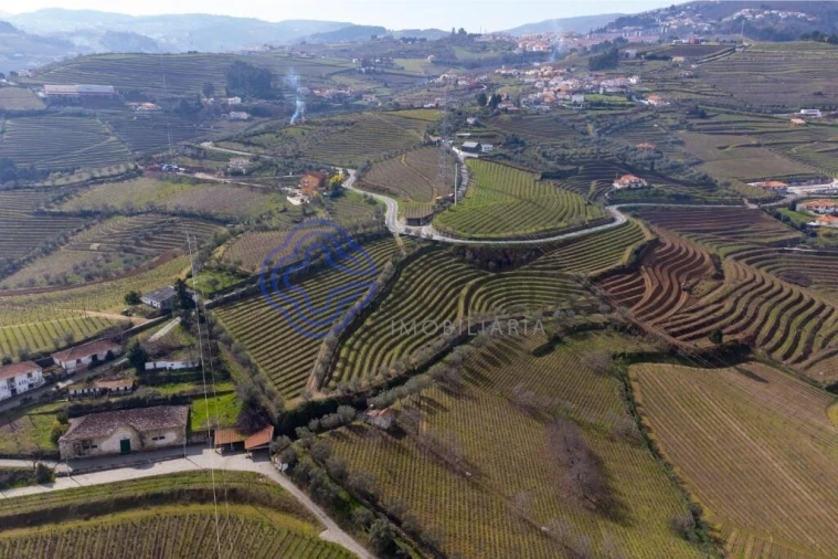 Terreno para Venda em Sande Foto 18