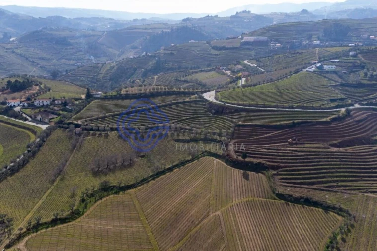 Terreno para Venda em Sande Foto 15