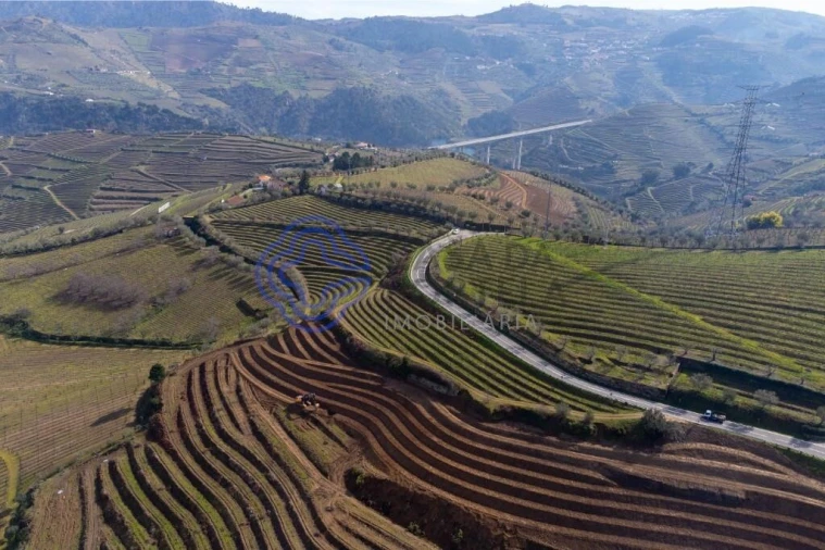 Terreno para Venda em Sande Foto 17