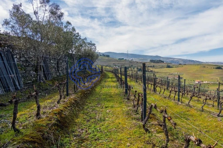 Terreno para Venda em Sande Foto 5