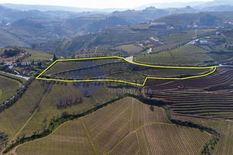 Terreno para Venda em Sande Foto 25