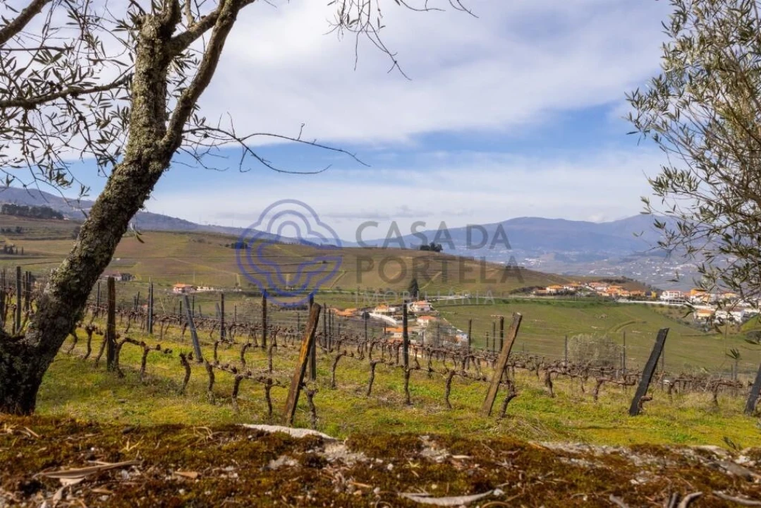 Terreno para Venda em Sande Foto 8
