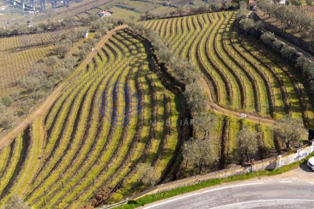Terreno para Venda em Sande Foto 1