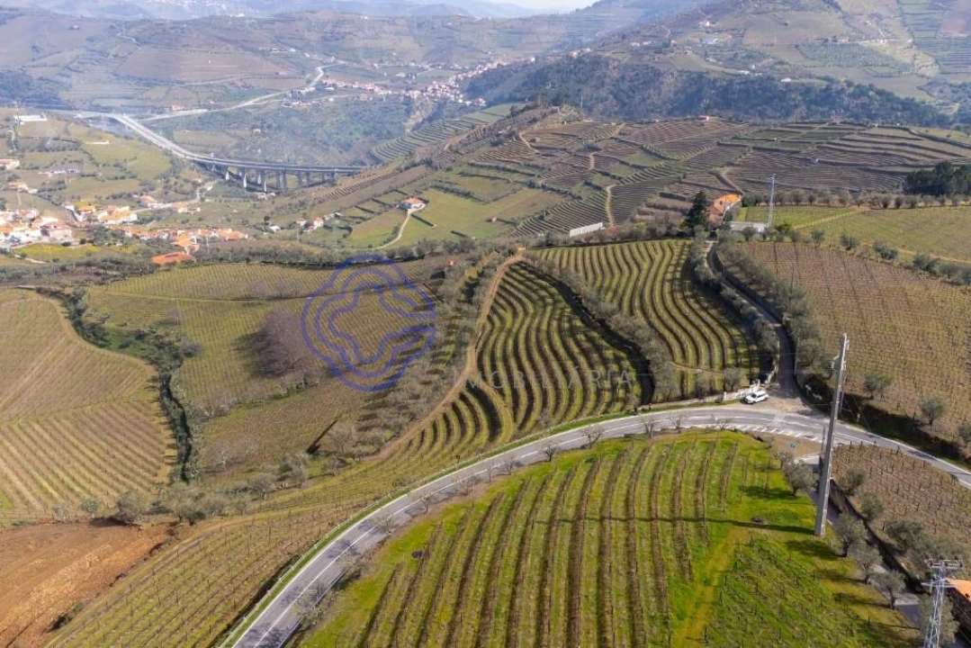 Terreno para Venda em Sande Foto 13