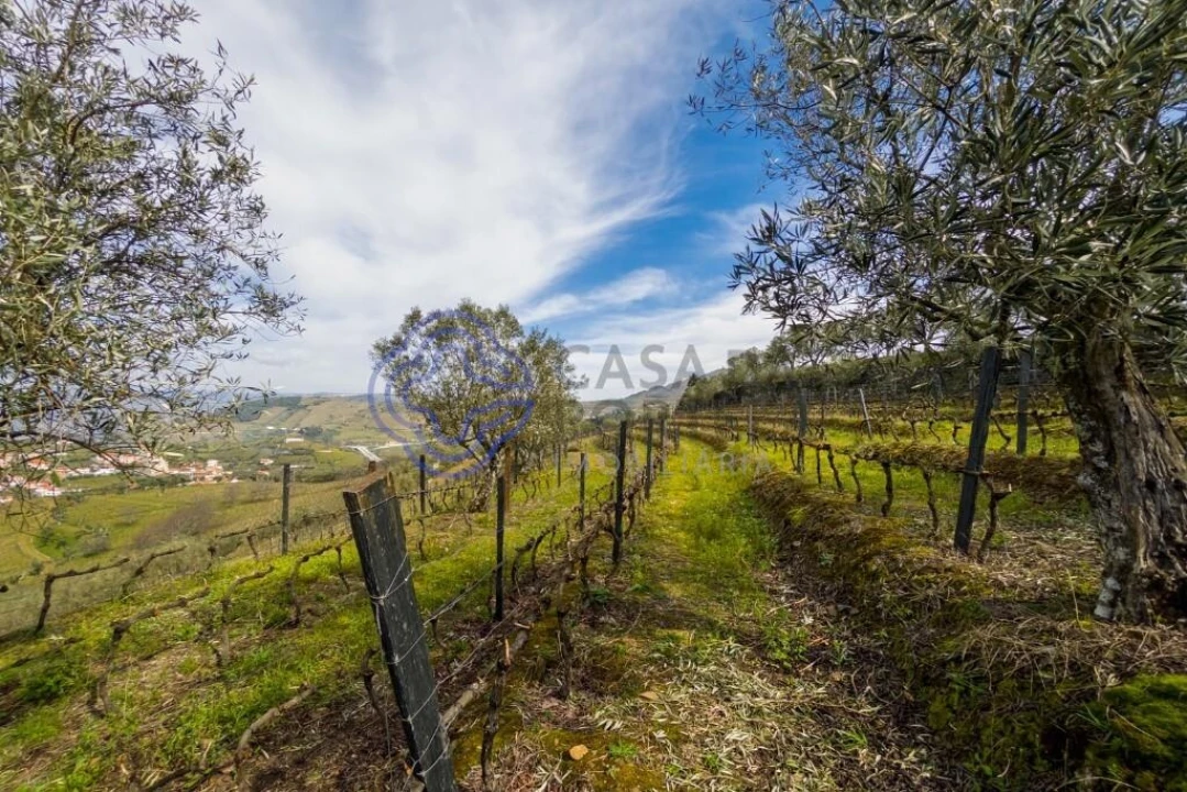 Terreno para Venda em Sande Foto 12