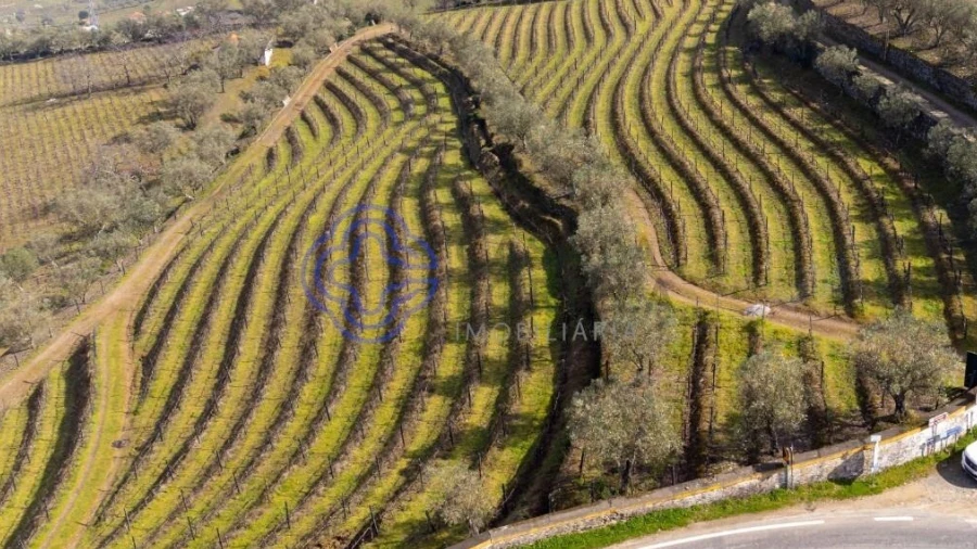 Terreno para Venda em Sande