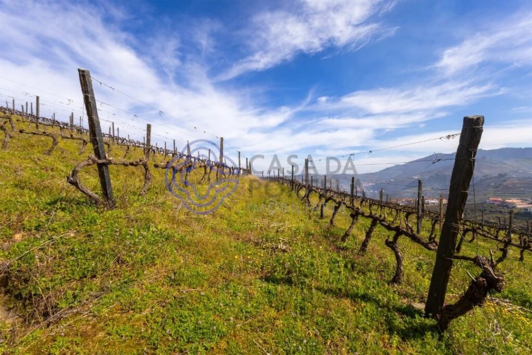 Terreno para Venda em Sande Foto 22
