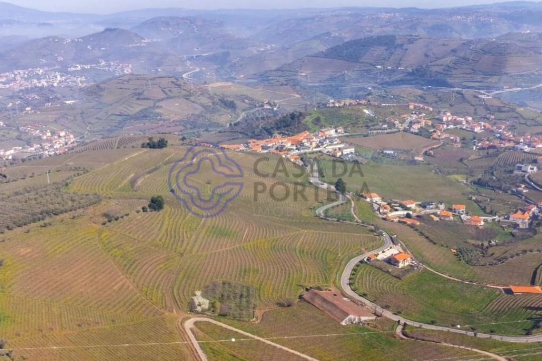Terreno para Venda em Sande Foto 19