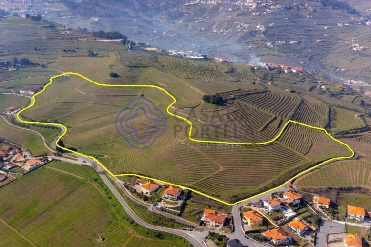 Terreno para Venda em Sande Foto 23