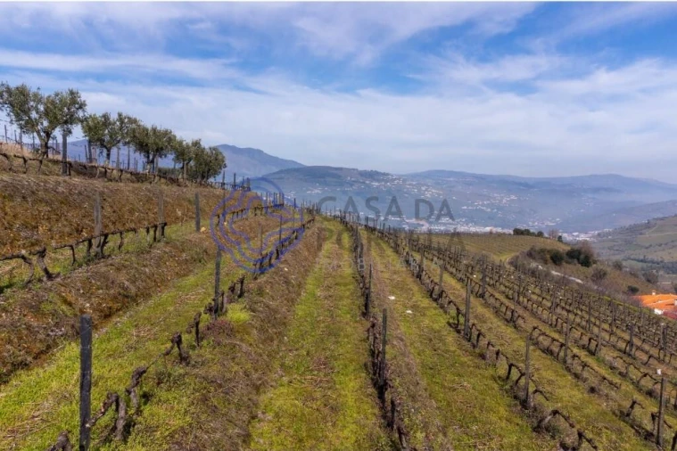Terreno para Venda em Sande Foto 6