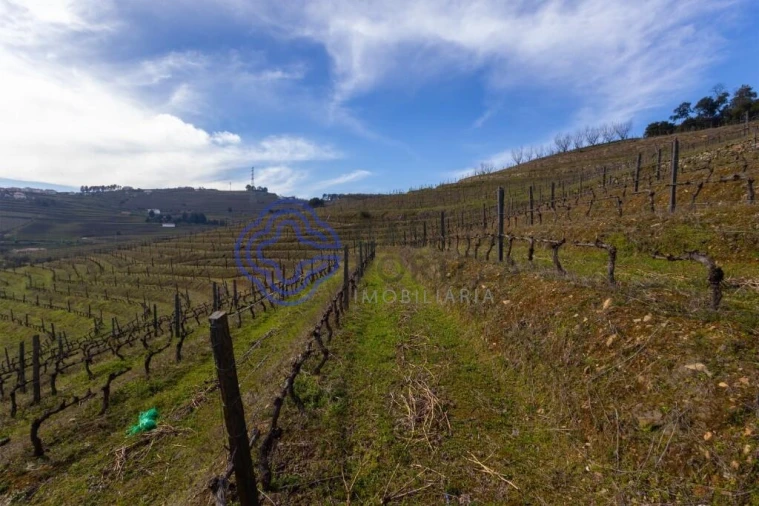 Terreno para Venda em Sande Foto 7