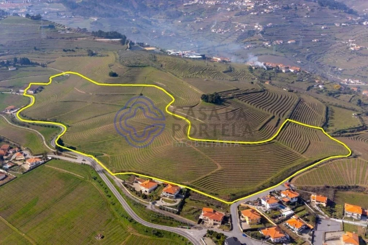 Terreno para Venda em Sande Foto 10