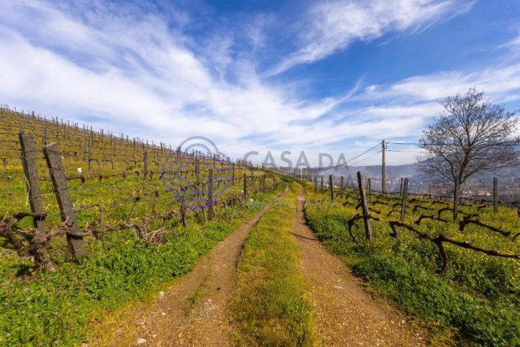 Terreno para Venda em Sande Foto 4